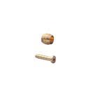 Kit Ogiva + Inserto BH59 Tubo Freni Disco Idraulico Shimano