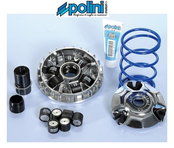 Polini 241.713 VARIATORE HI-SPEED APRILIA BENELLI DERBI GILERA ITALJET MALAGUTI PEUGEOT PIAGGIO RENAULT ROYAL ALLOY VESPA