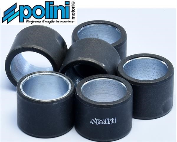 Polini 242.270 Rulli Massette Variatore 20,5gr 27,6x21,5