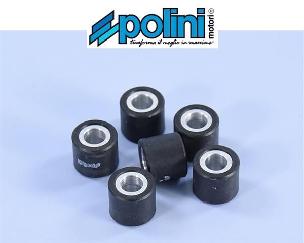 Polini 242.209 Rulli Massette Variatore 14,2gr 25x21,8