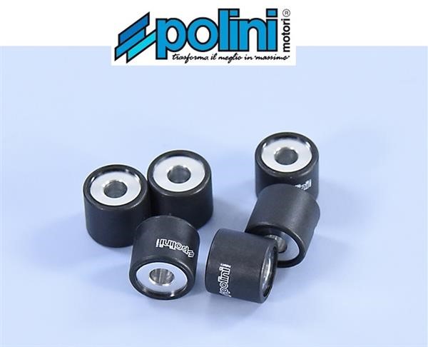 Polini 242.381 Rulli Massette Variatore 29,7gr 19x17