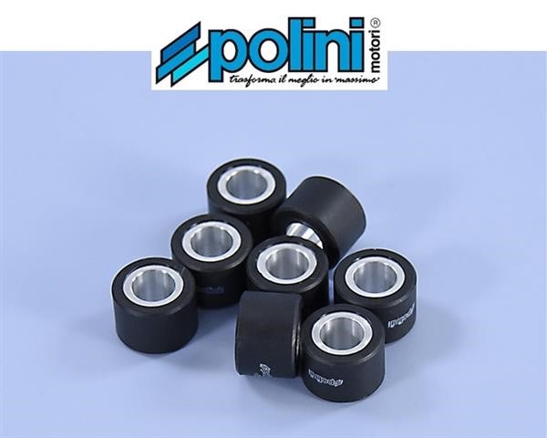 Polini 242.238 Rulli Massette Variatore 22gr 28x20