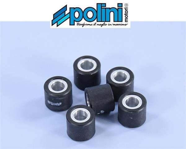 Polini 242.215 Rulli Massette Variatore 16,3gr 25x21,8
