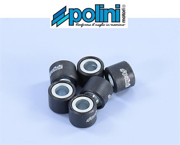 Polini 242.070 Rulli Massette Variatore 4,9gr 16x13