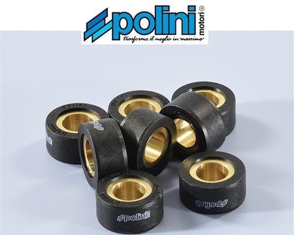 Polini 242.204 Rulli Massette Variatore 11,5gr 26,1x12,8