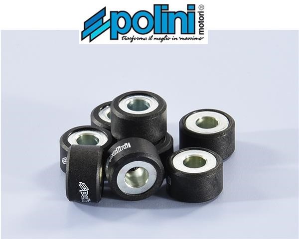 Polini 242.194 Rulli Massette Variatore 10,1gr 20x12
