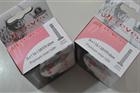 N.2 Camere d'aria ELEVEN 26x1 1/4-1 3/8 V.Italiana