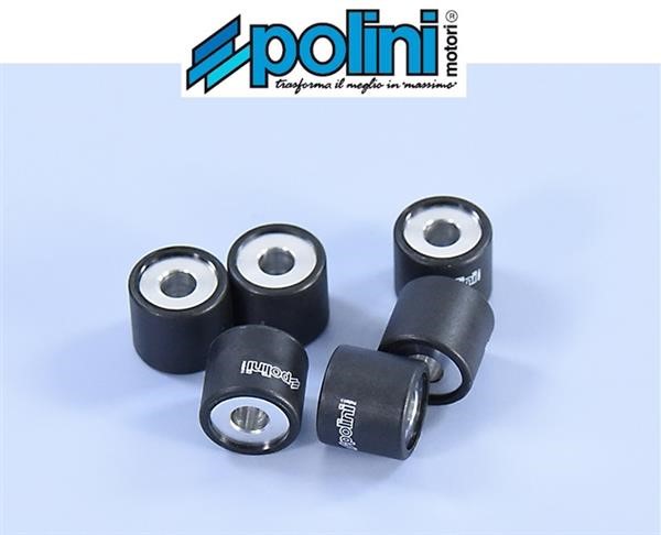 Polini 242.094 Rulli Massette Variatore 6gr 19x17