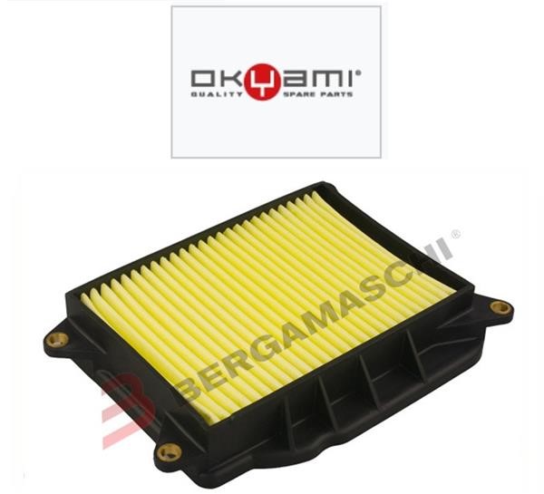 Filtro Aria Variatore YAMAHA OKYAMI E17692
