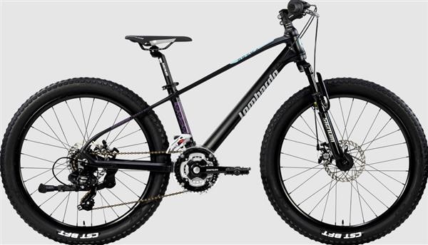 Bicicletta Lombardo BRERA 24 Disco Bambino Nero Ossidiana
