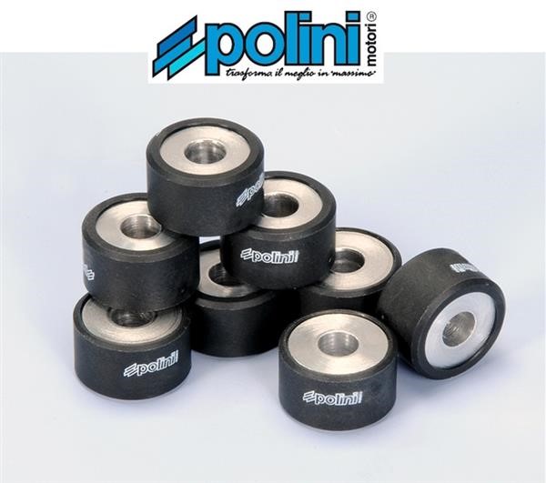 Polini 242.224 Rulli Massette Variatore 12gr 25x15