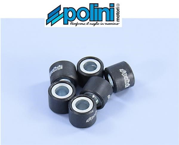 Polini 242.066 Rulli Massette Variatore 6,3gr 16x13