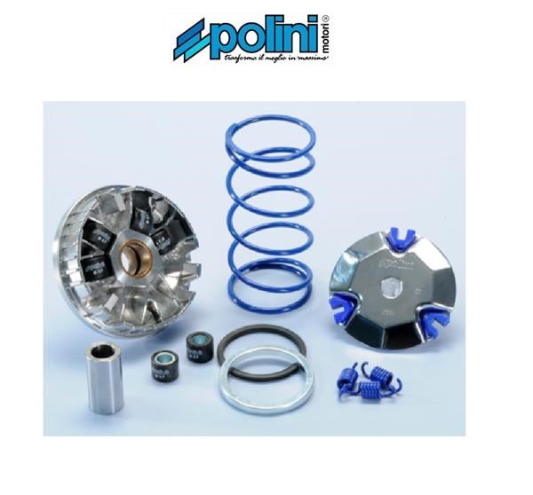 Polini 241.670 VARIATORE HI-SPEED APRILIA ATALA BENELLI BETA BSV ITALJET KTM MALAGUTI MBK MOTRON RIEJU YAMAHA