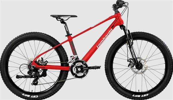 Bicicletta Lombardo BRERA 24 Disco Bambino Rosso Lollipop