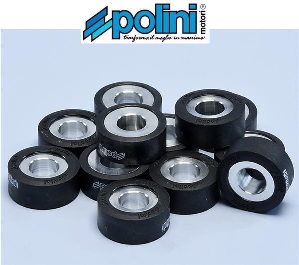 Polini 242.312 Rulli Massette Variatore 8,5gr 25x11