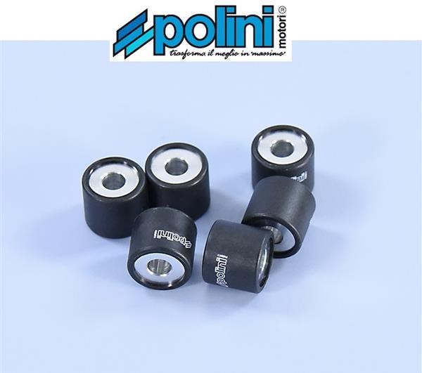 Polini 242.091 Rulli Massette Variatore 10gr 19x17