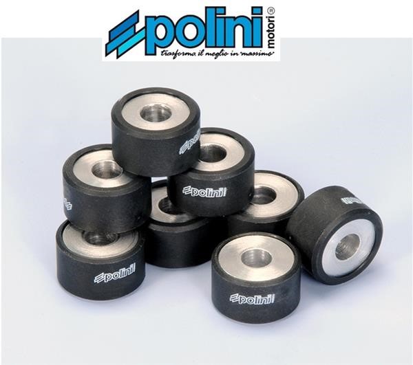 Polini 242.222 Rulli Massette Variatore 16,2gr 25x15